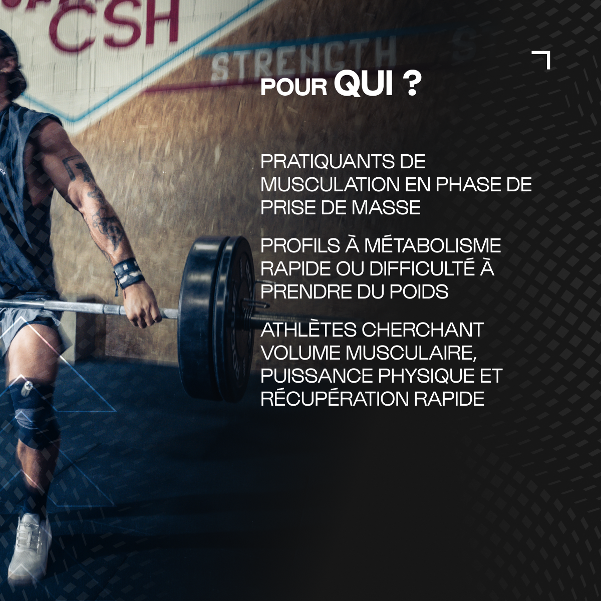 Mass Gain Pack