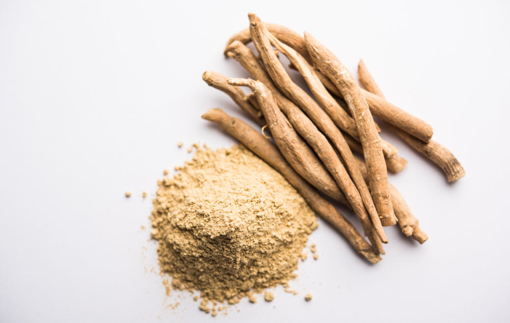 Rhodiola ou ashwagandha : quelle plante adaptogène choisir ?