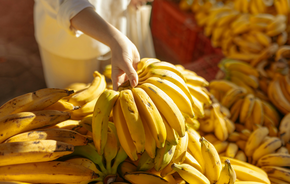 Les aliments riches en potassium