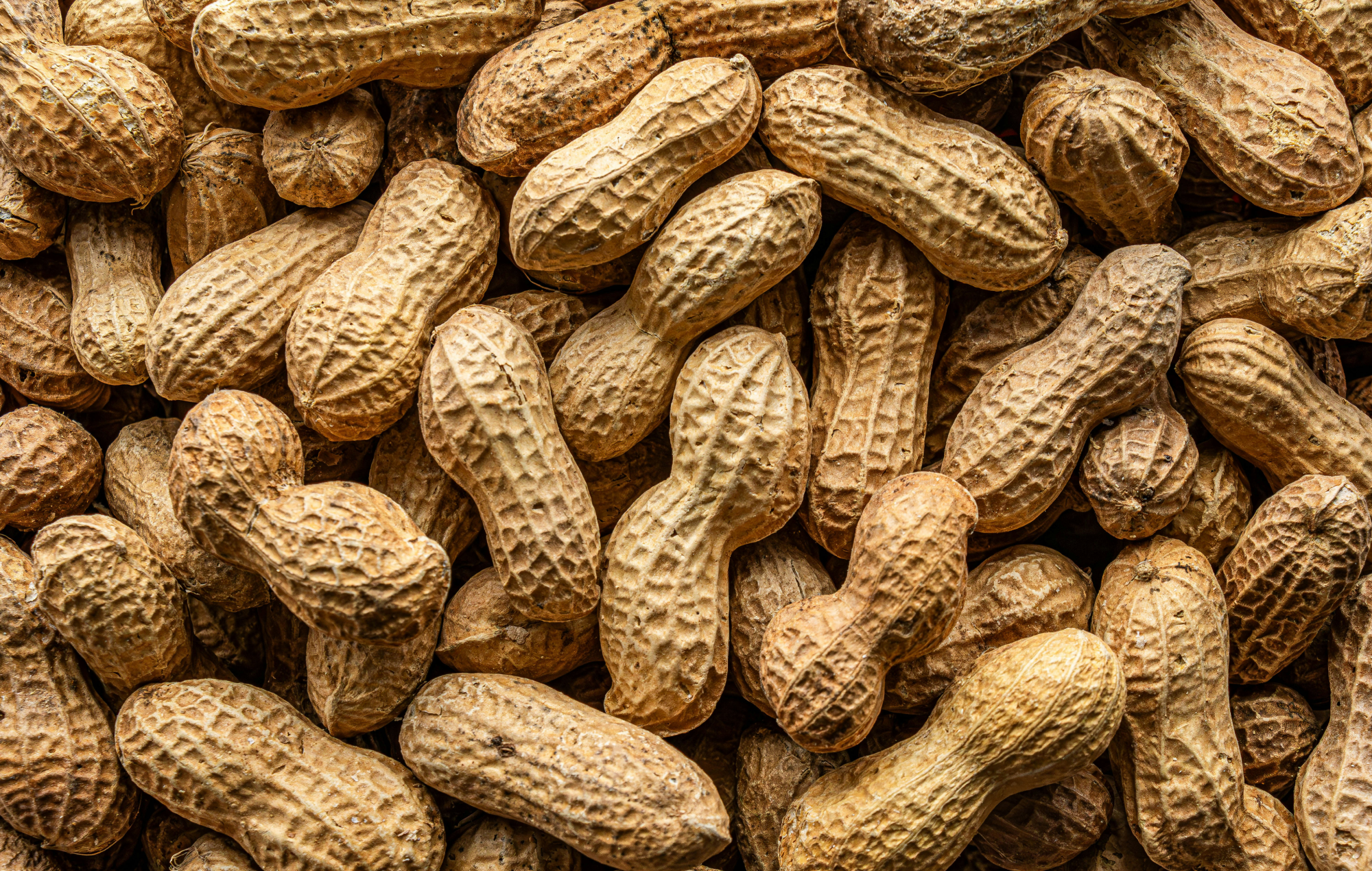 Les bienfaits des cacahuètes