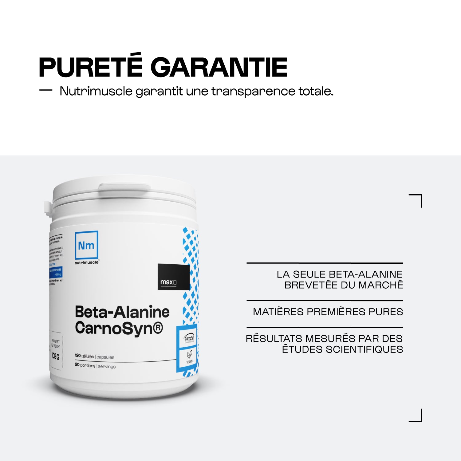 beta alanine l carnitine Creatine + + L-Carnitine Pre Work Boost endurance with Gasparis pure Beta Alanine supplement beta alanine and l carnitine