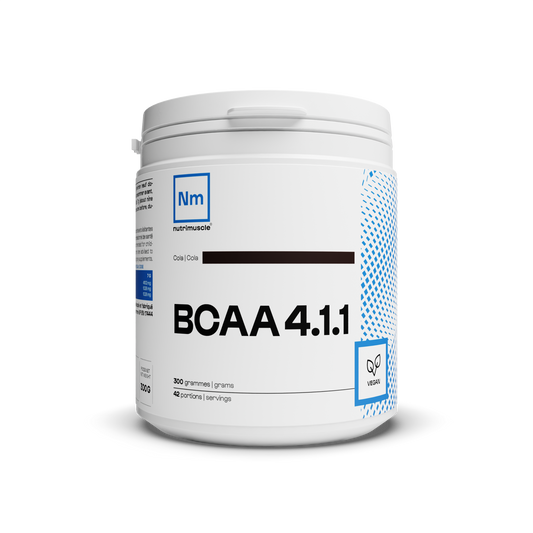 BCAA 4.1.1 Powder manufacturers