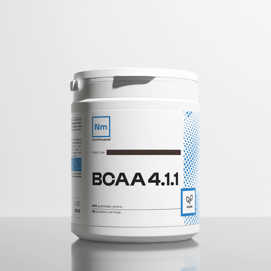 BCAA 4.1.1 Powder manufacturers