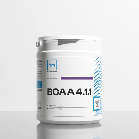 BCAA 4.1.1 Powder manufacturers