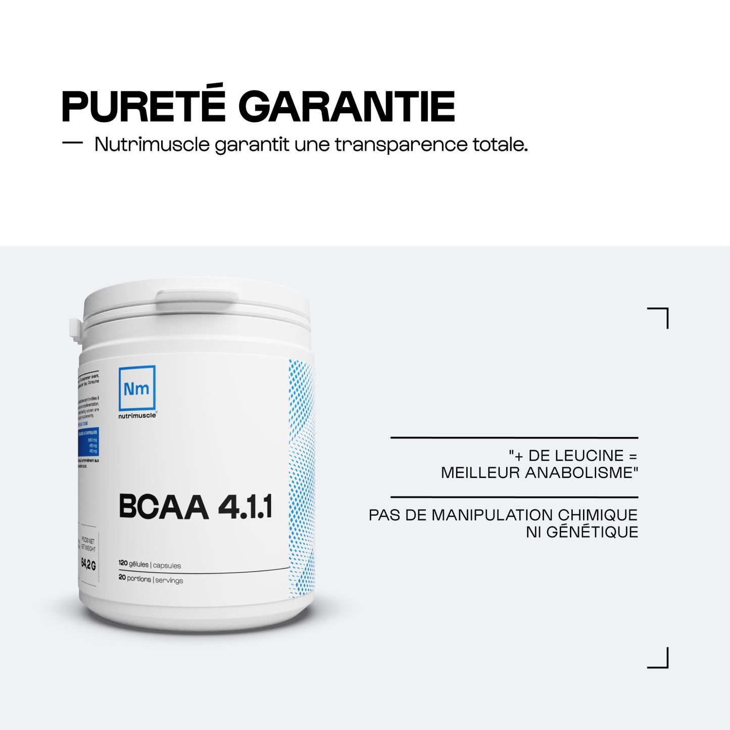 BCAA 4.1.1 Manufacturers in capsules