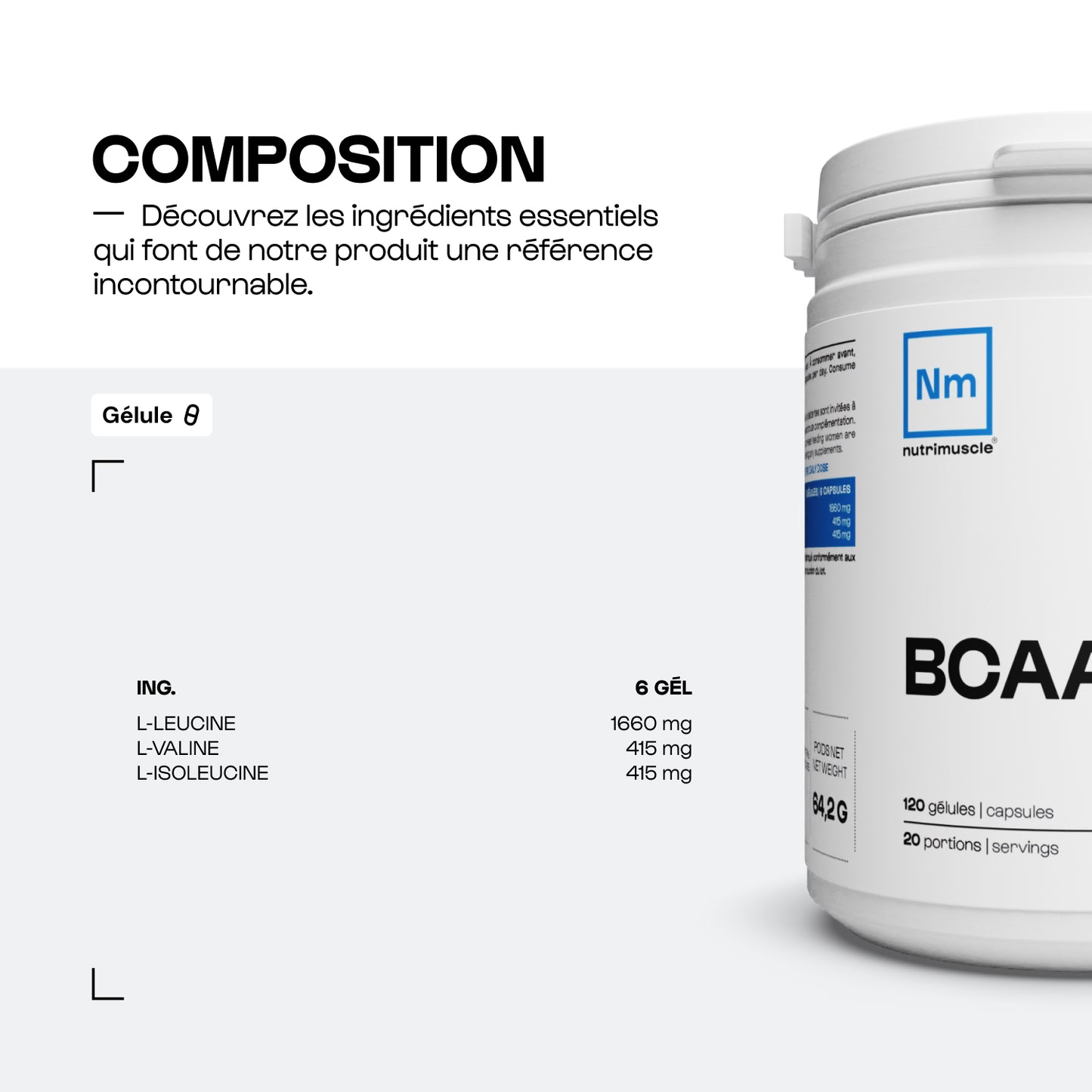 BCAA 4.1.1 Constructeurs en gélules