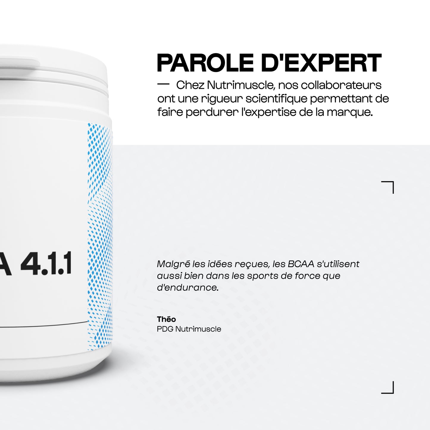 BCAA 4.1.1 Manufacturers in capsules