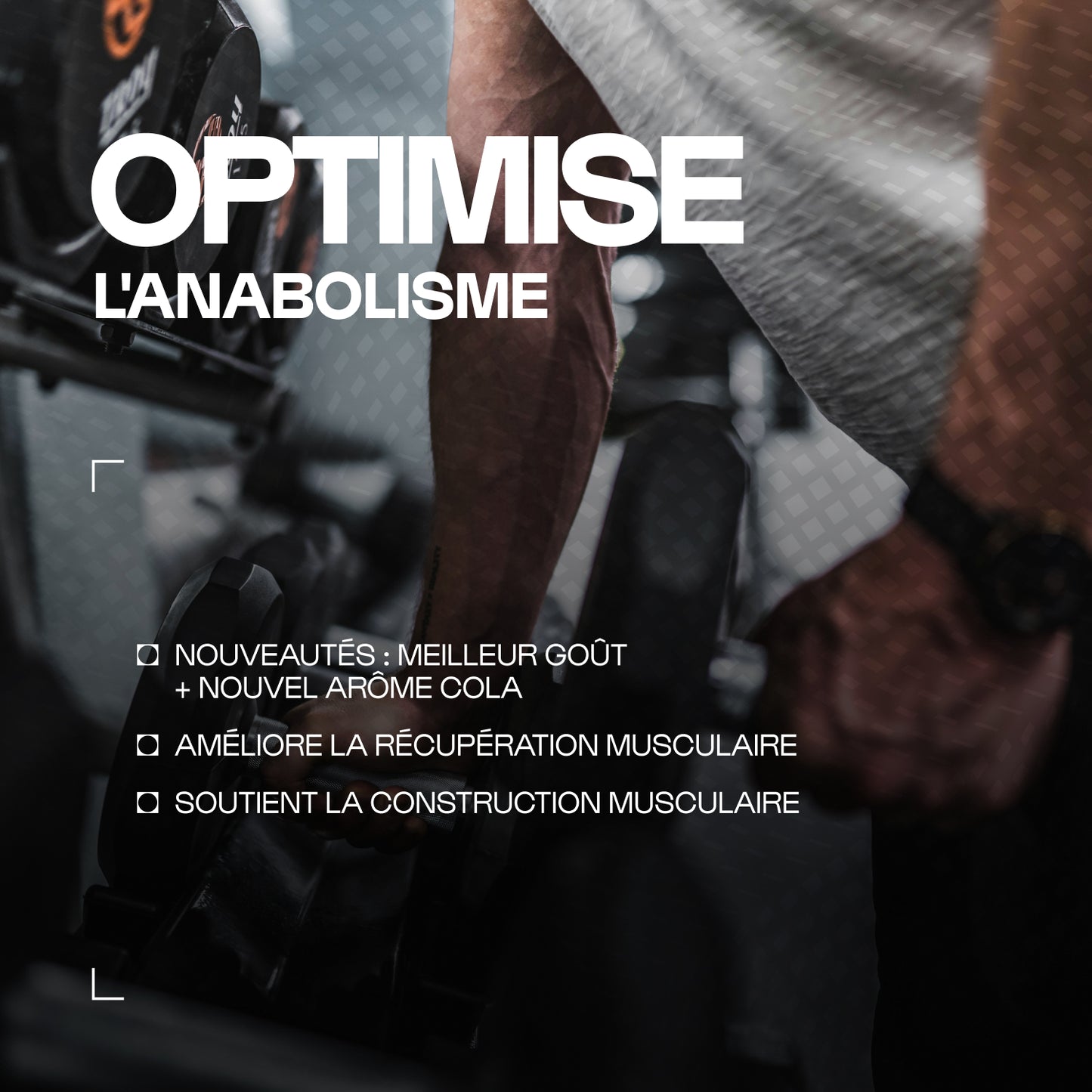BCAA 4.1.1 Constructeurs en poudre