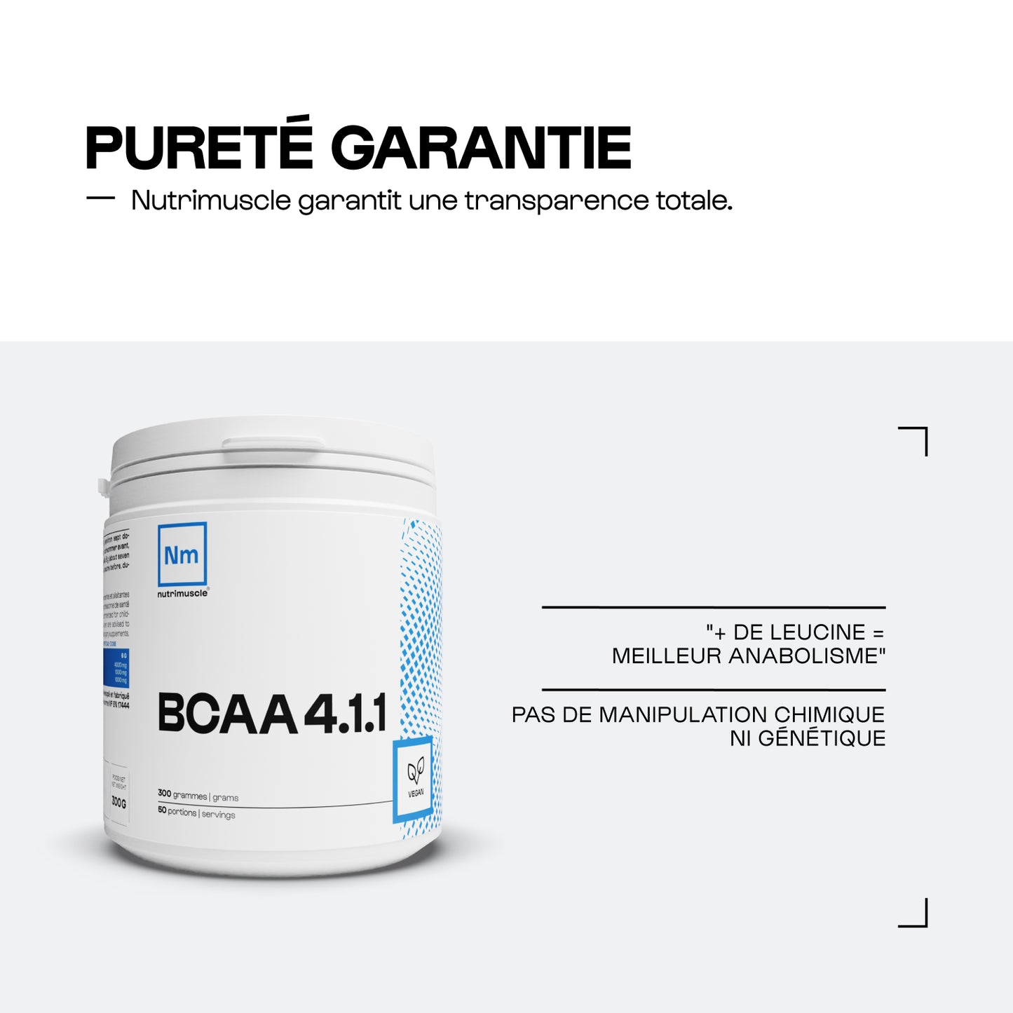 BCAA 4.1.1 Powder manufacturers