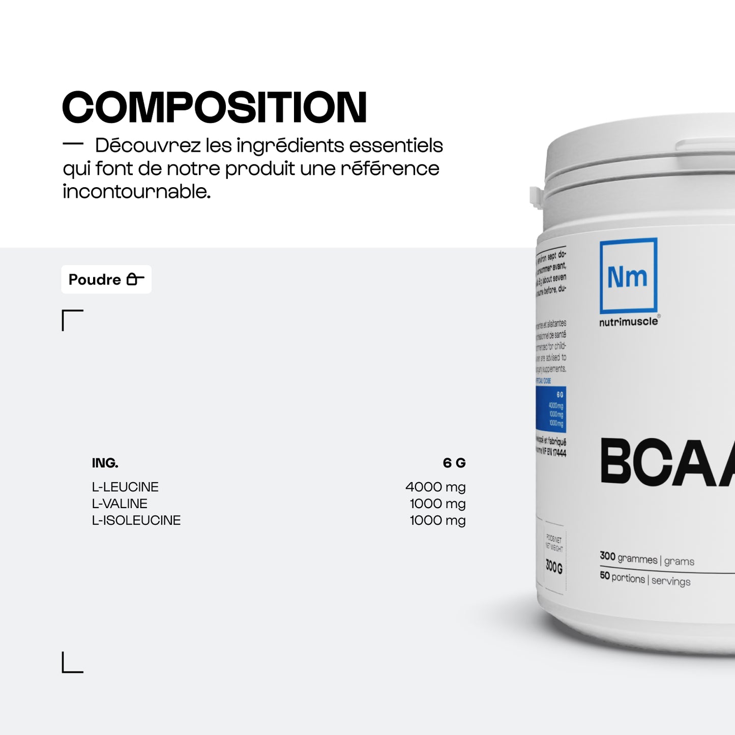 BCAA 4.1.1 Powder manufacturers