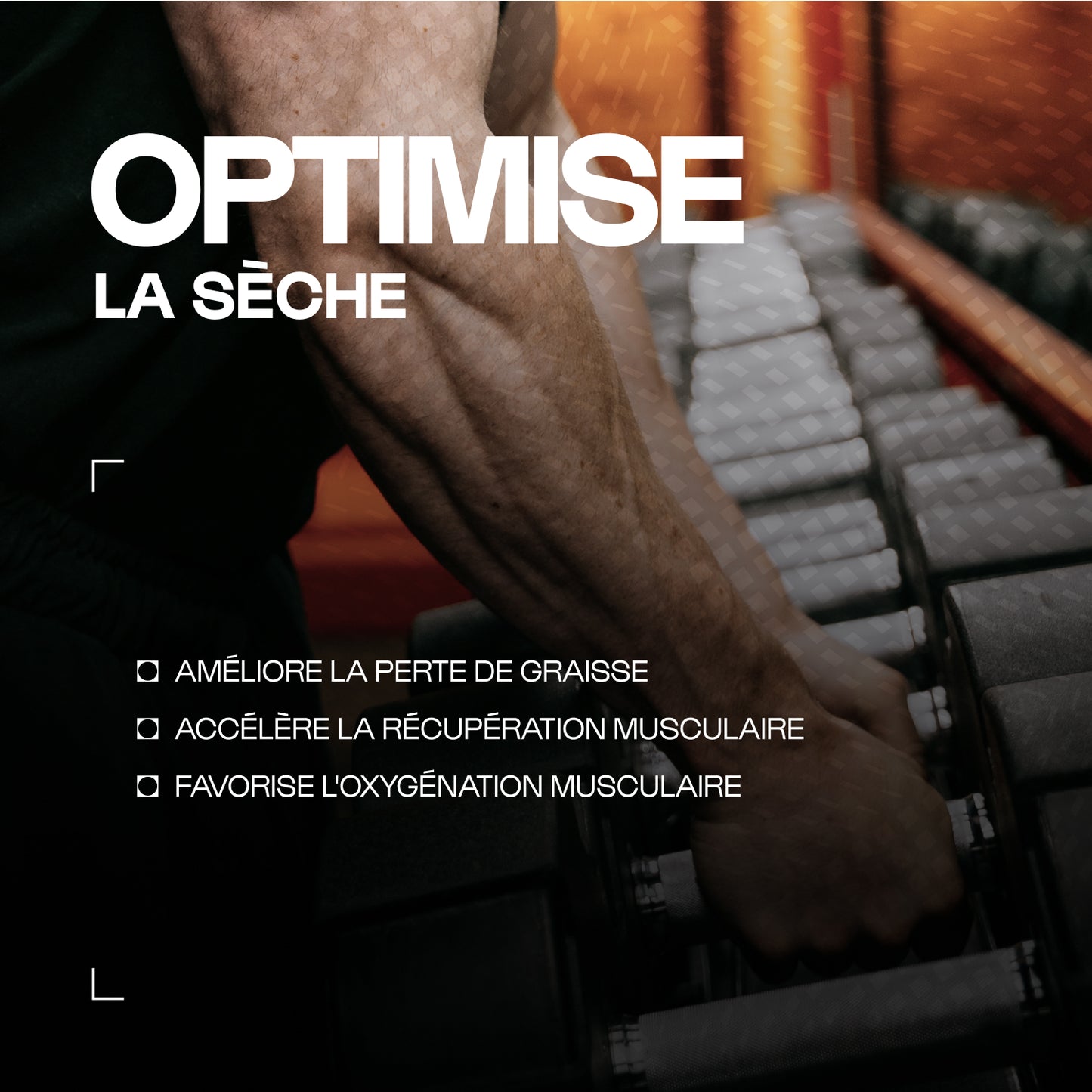 Carnitine Carnipure® en poudre