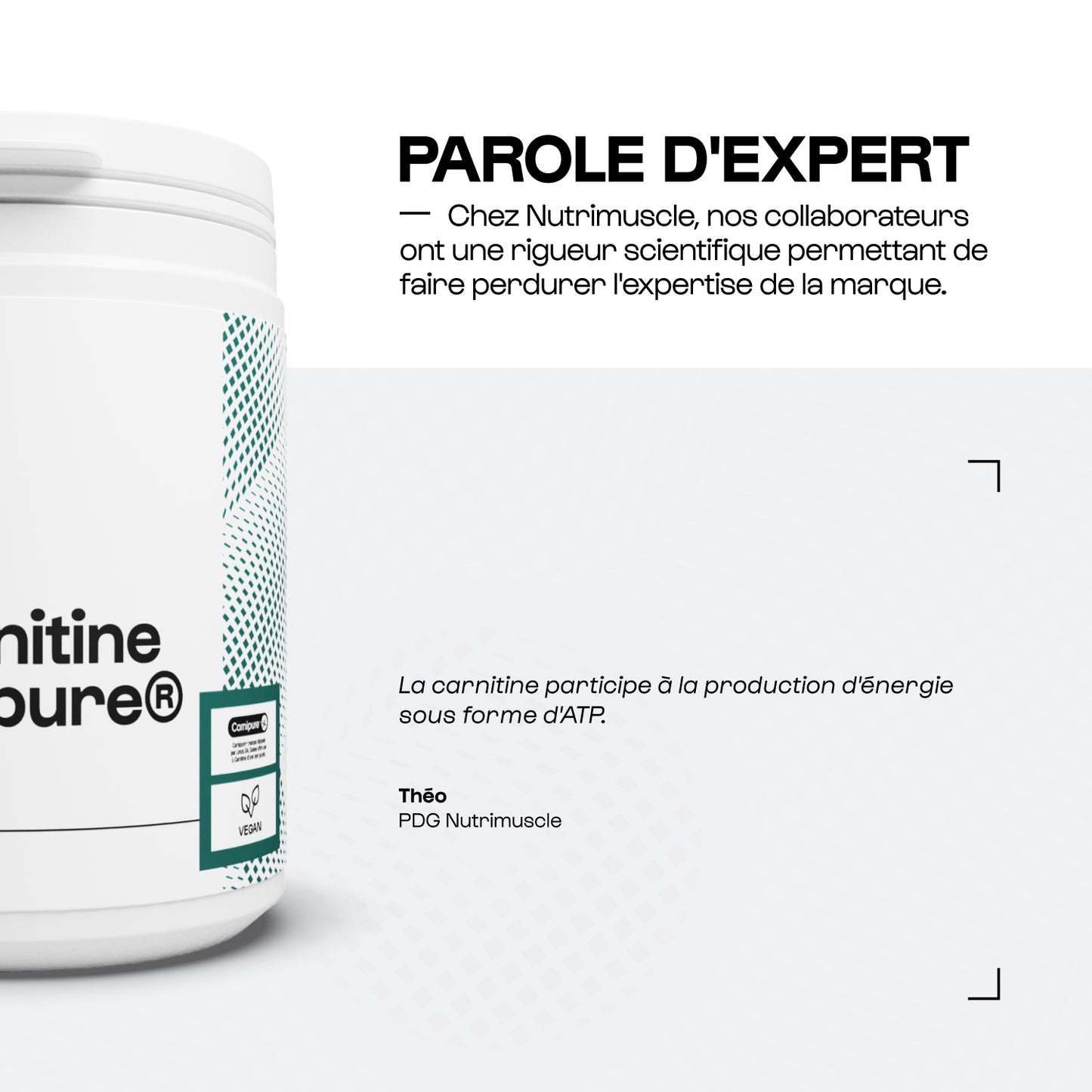 Carnitine Carnipure® en poudre