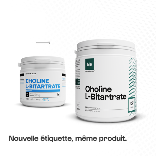 Choline l-bitatrate powder