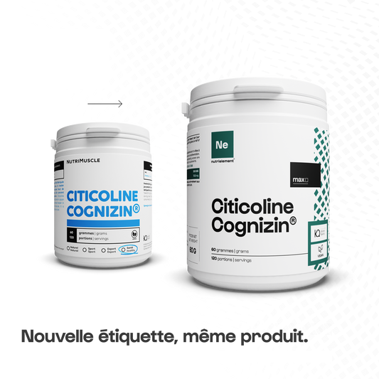 Citicoline Cognizin en poudre