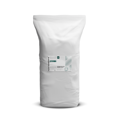Collagen Peptide Peptan® 1 in powder