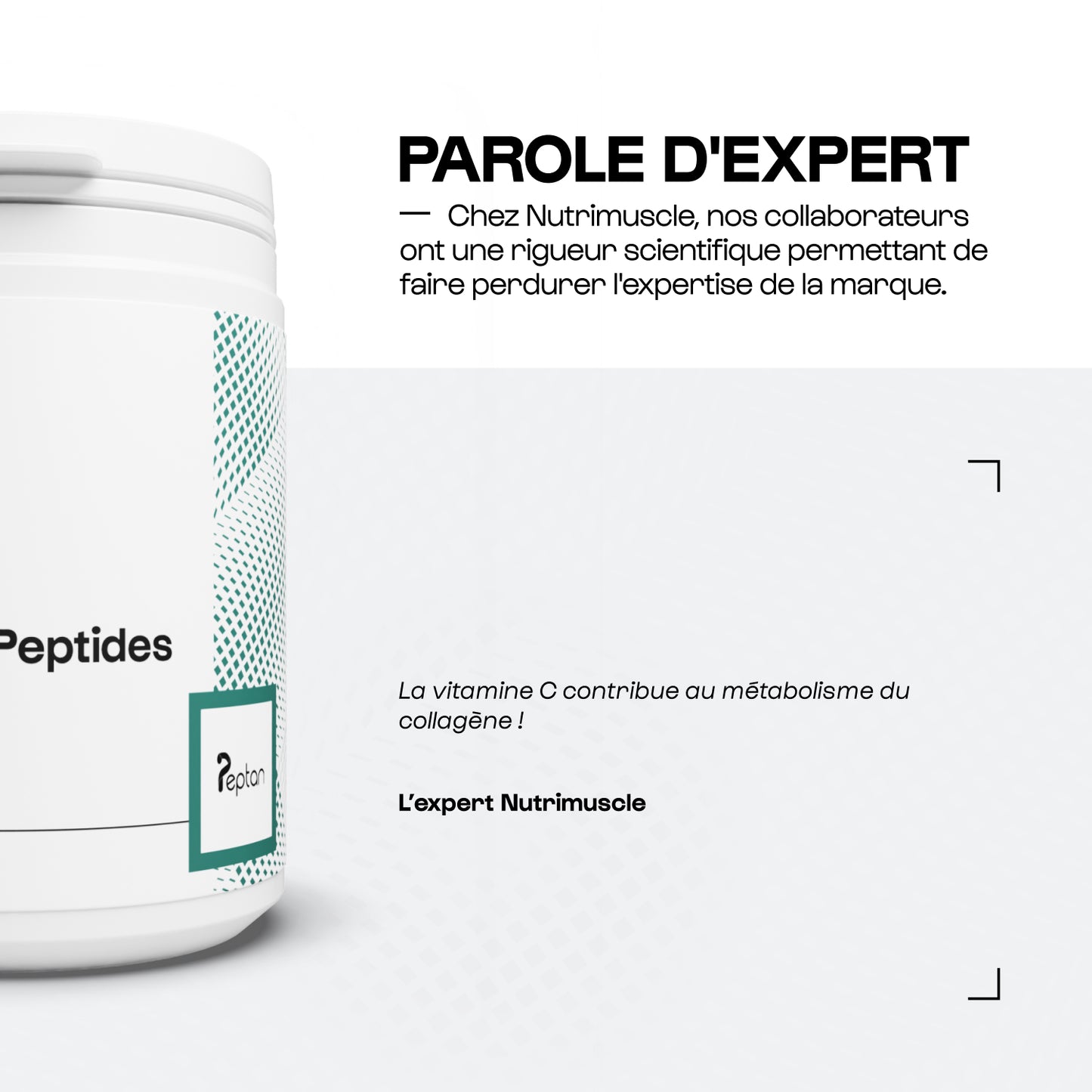 Collagen Peptide Peptan® 1 in powder