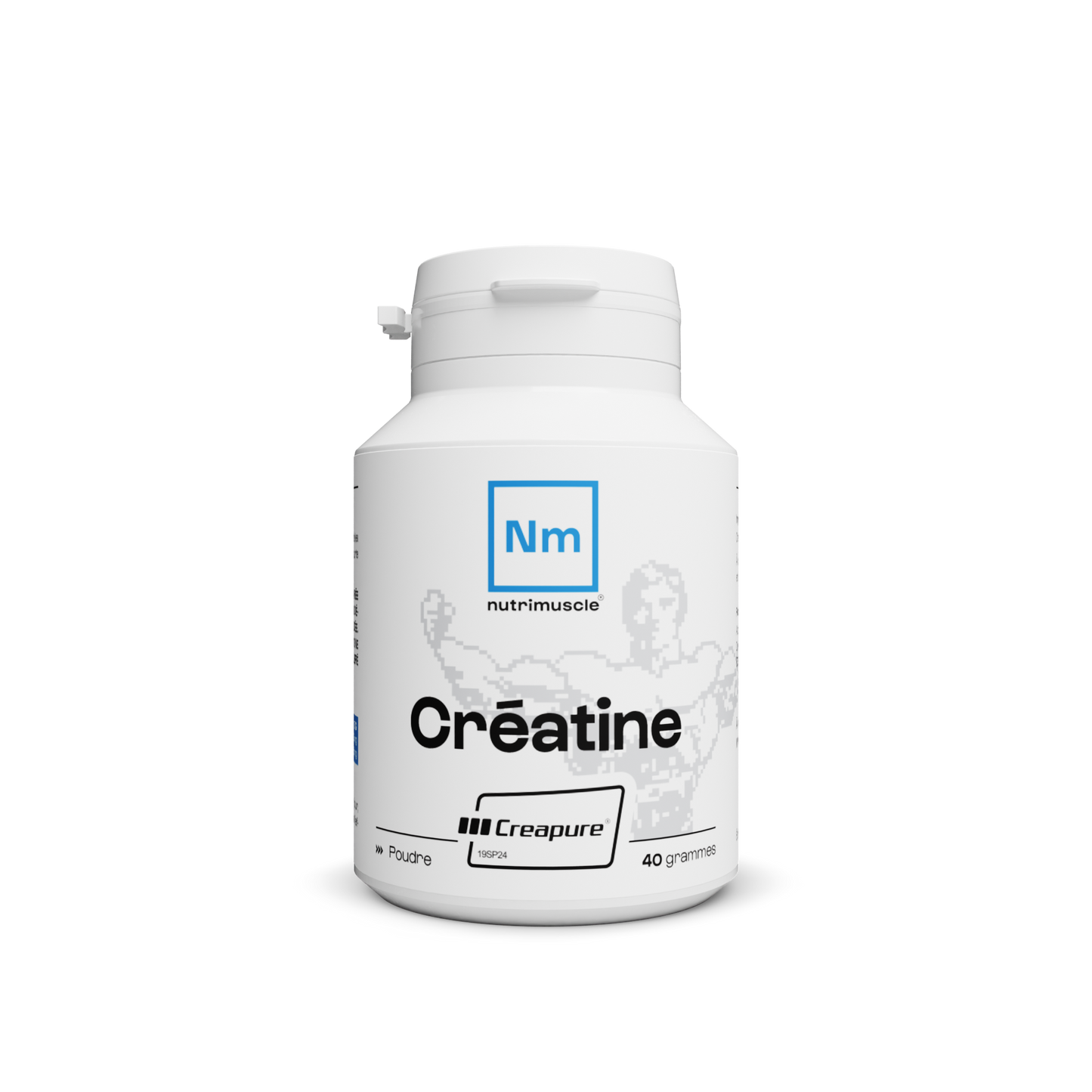 Creatine (Creapure®) in powder