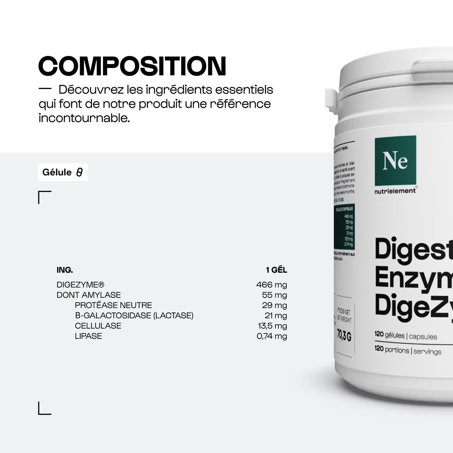 Enzymes digestives (Digezyme®)