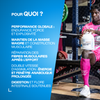 Musclewhey - Mix Protein