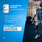 Pack Prise de masse