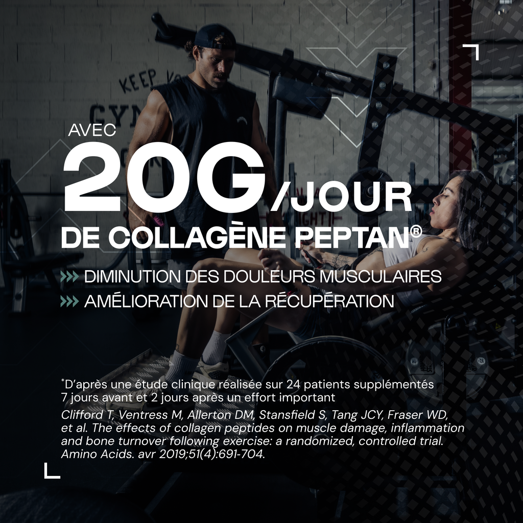 Collagen Peptide Peptan® 1 in powder