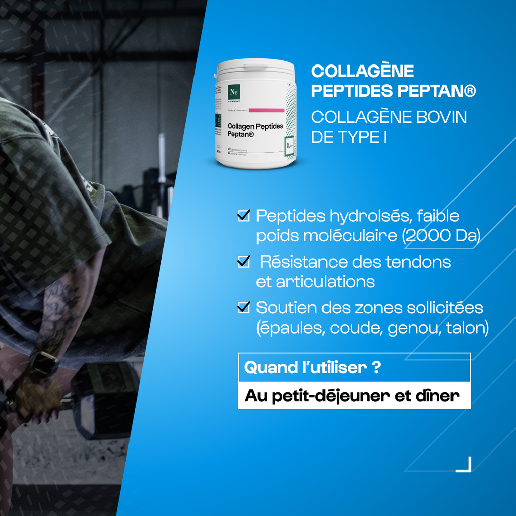 Pack Rentrée performance