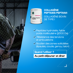 Pack Rentrée performance