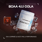 BCAA 4.1.1 Powder manufacturers