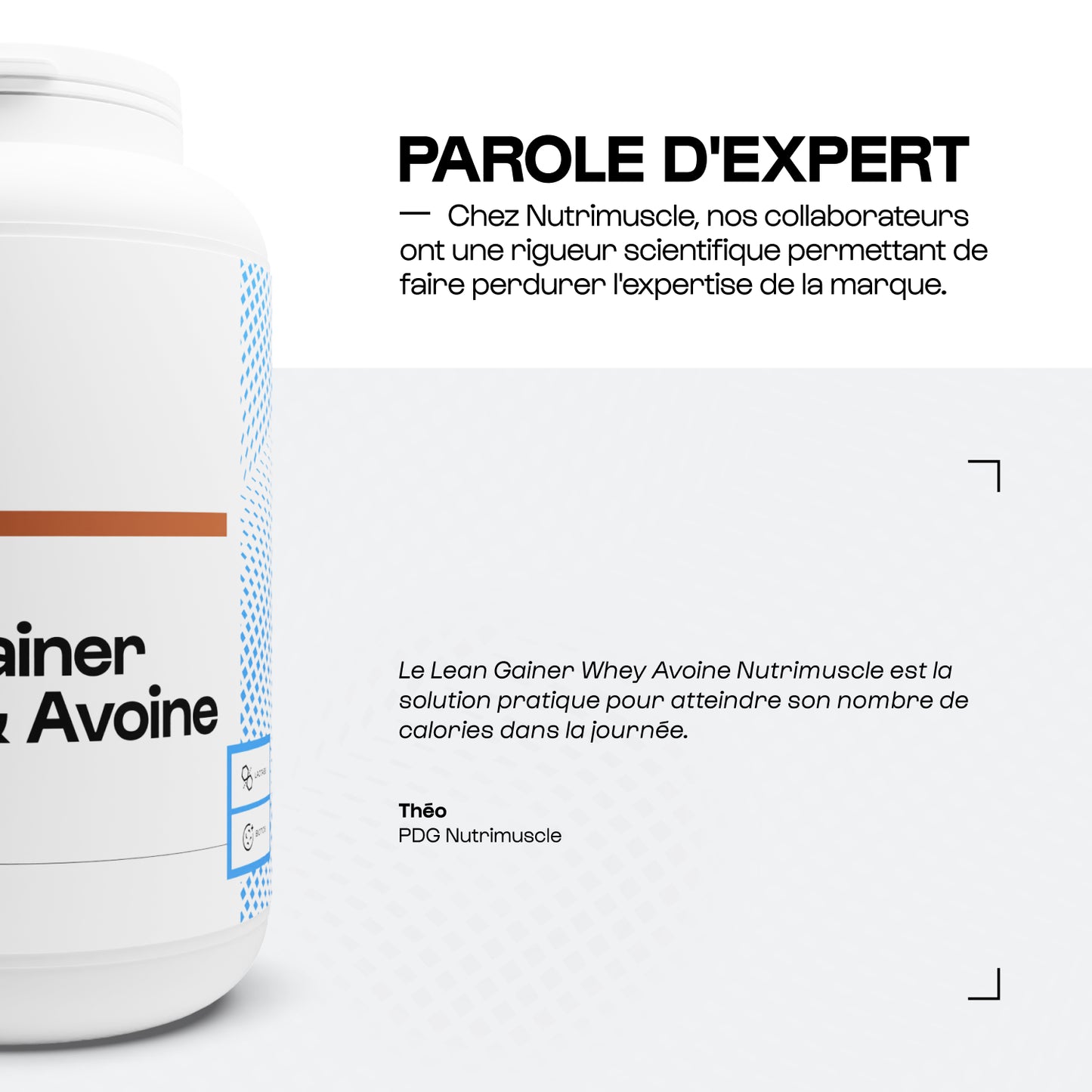 Lean Gainer Whey Avoine