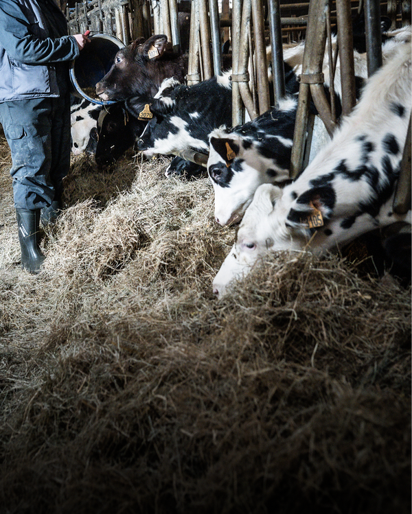 Riche en protéines natives