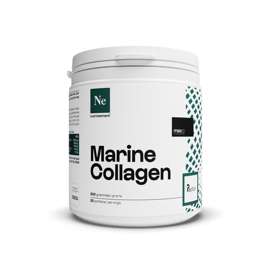 Collagen Marin Peptan® 1 in powder