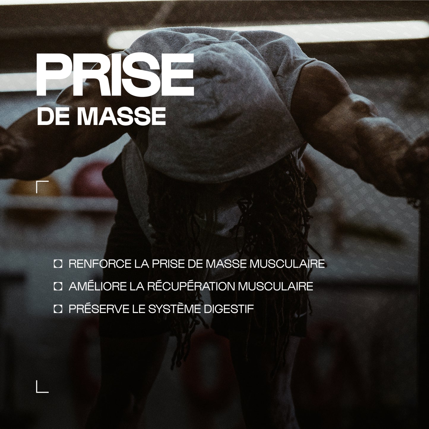 Musclemasse - Hard Gainer