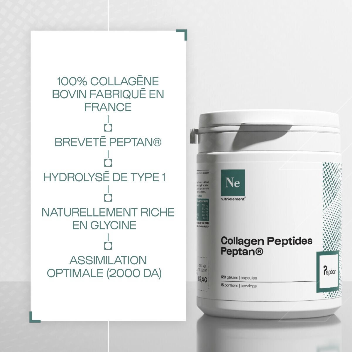Collagen Peptide Peptan® 1 in powder