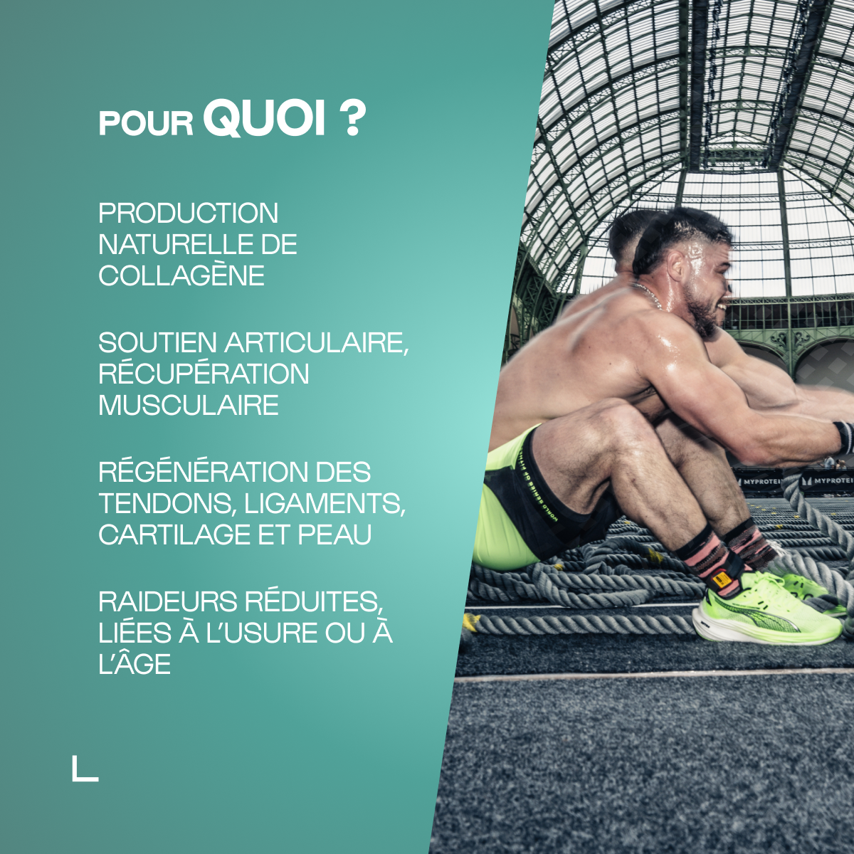 A amino acids of collagen 4.4.1 powder