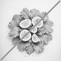 Passion Hibiscus