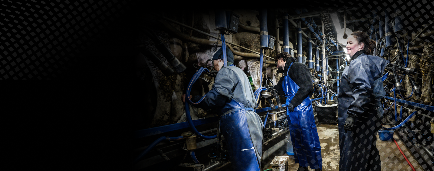 <p>La qualité de votre protéine commence bien avant le shaker. Découvrez comment le lait devient une protéine Nutrimuscle,<br/>étape par étape.</p>