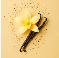 Vanilla